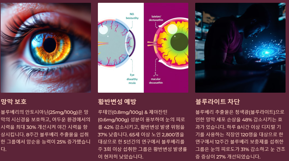 눈건강 보호 시력개선