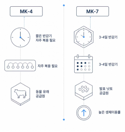 비타민k2 효능