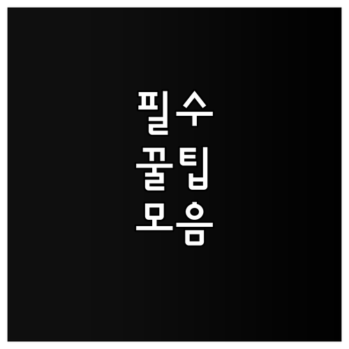 2025 구로구 장애인 복지 지원 상..