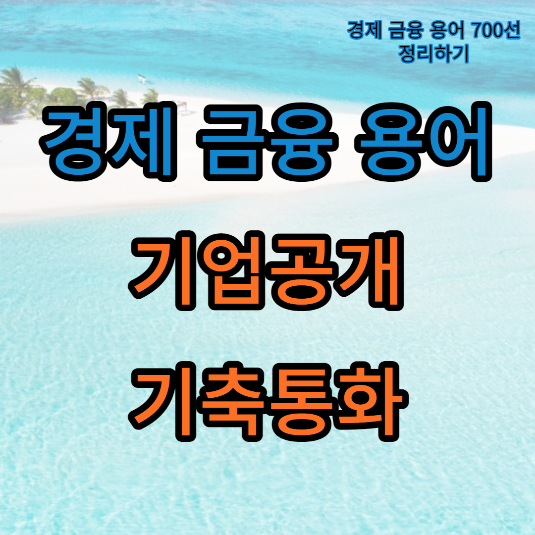 경제금융용어_기업공개_기축통화