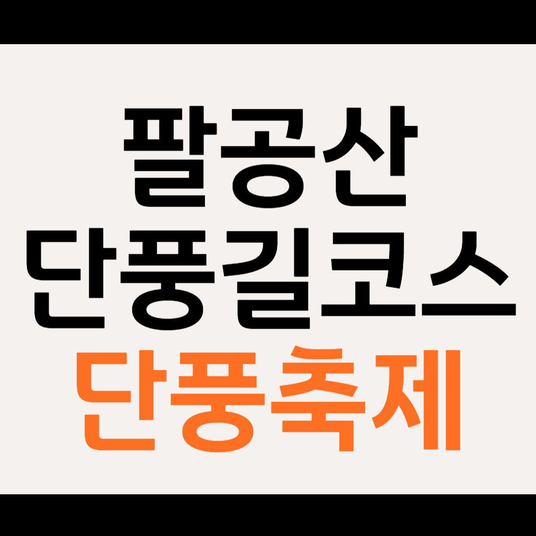 팔공산 단풍 단풍길 코스,