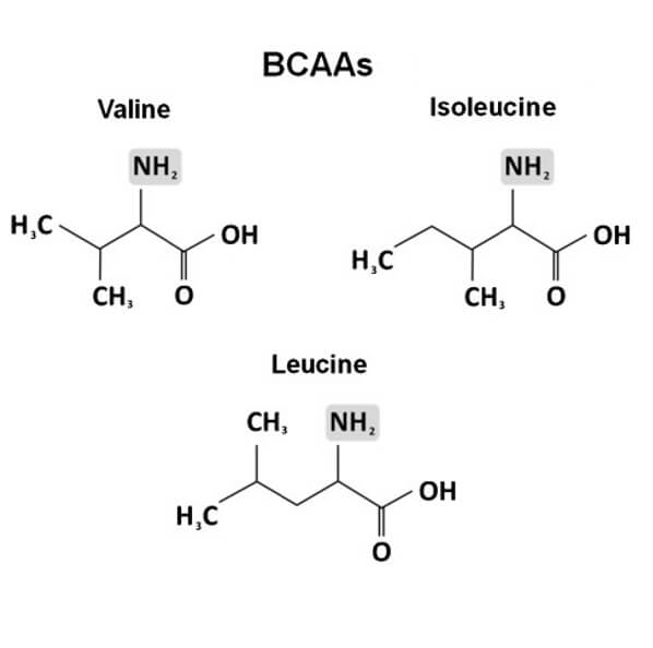 bcaa