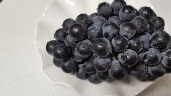 머루포도 효능키우기제철머루포도주 담그기먹는 방법보관 방법 안내_5