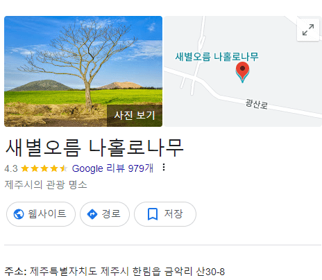 제주도 서쪽 가볼만한곳