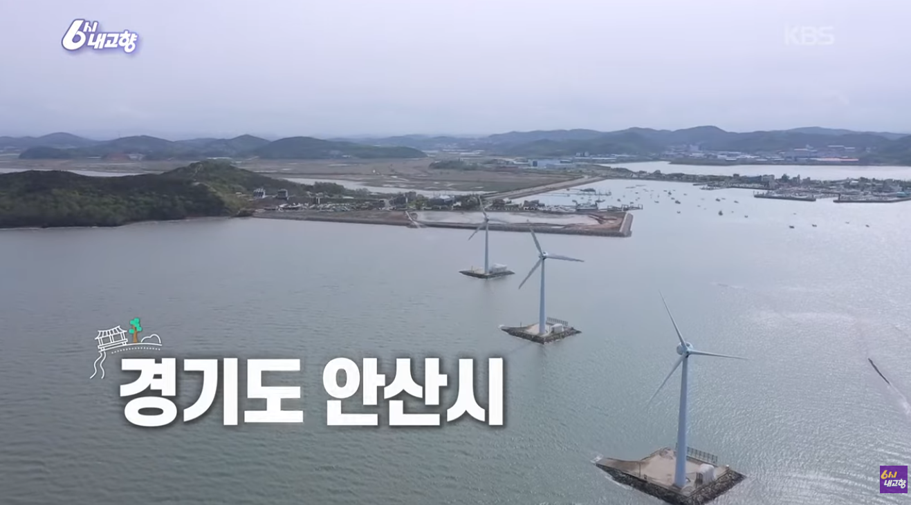 6시 내고향 안산 굴구이