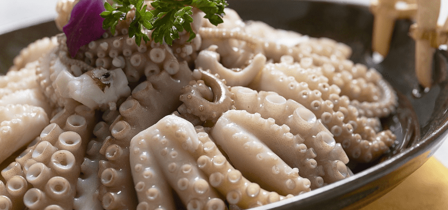 낙지와 낙지 요리 사진 - 13