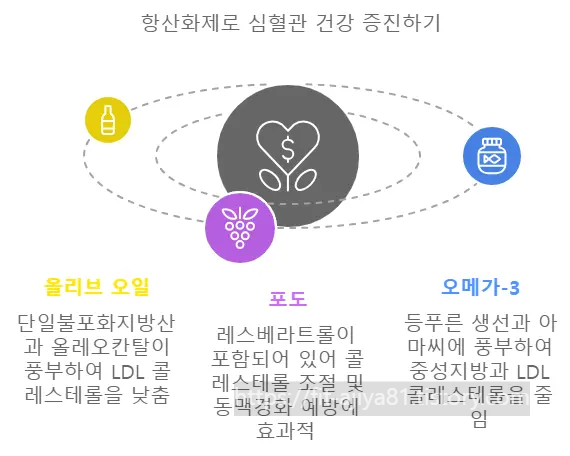 항산화제가 풍부한 식품