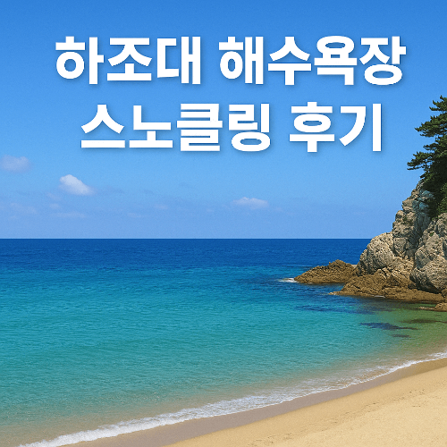 양양 하조대 해수욕장 스노쿨링 후