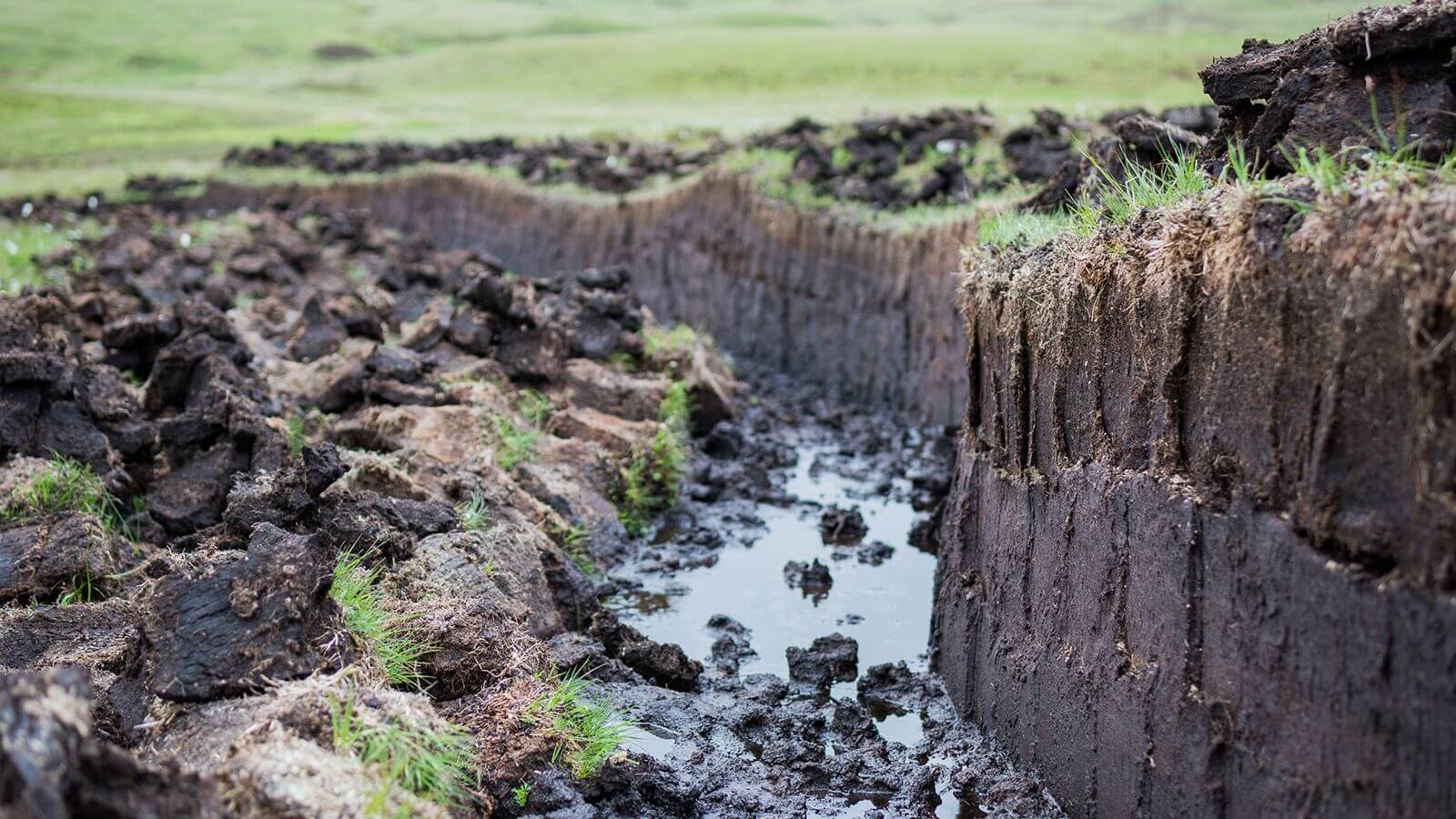 단층에서 보이는 이탄(피트)들