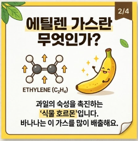 바나나 보관법