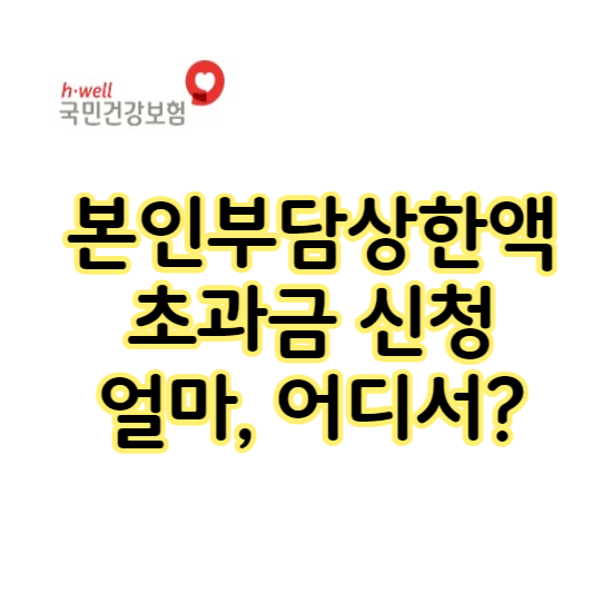 본인부담상한액 초과금 신청