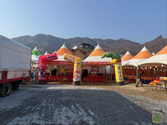 2025 광양매화축제 개화상황 주차장 실시간 입장료