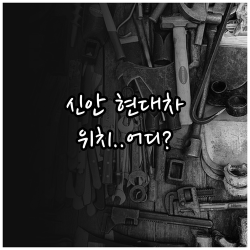 신안군 현대자동차 정비 네트워크 위치..