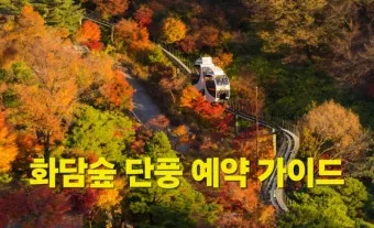 화담숲 단풍 절정시기 예약 방법까지 정리_9