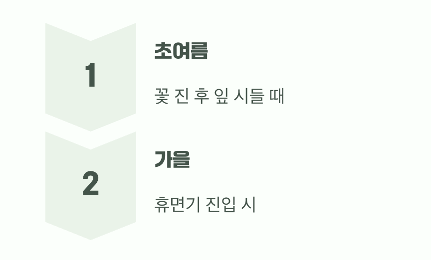 새로운 집으로 옮겨주는 최적의 시기