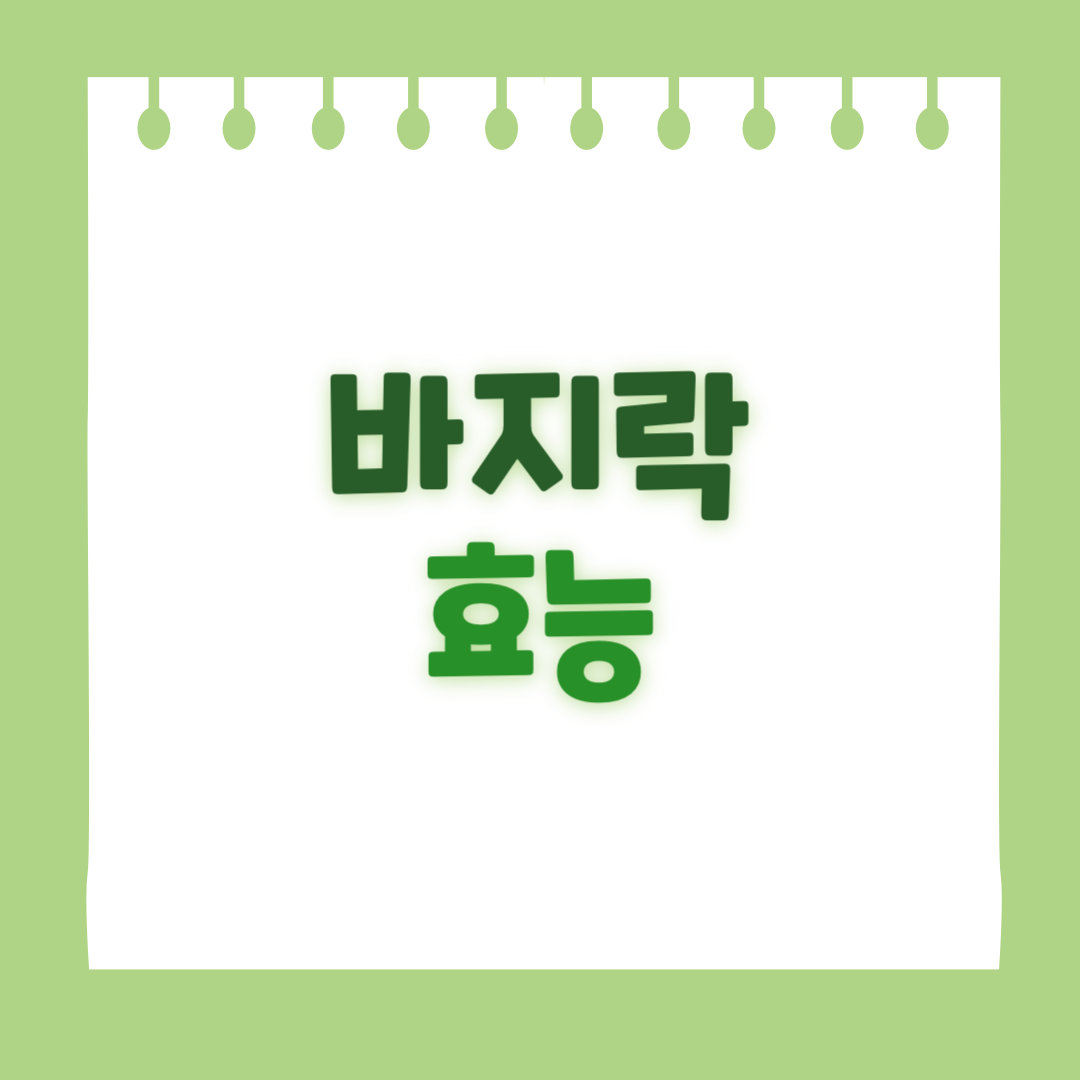 바지락의 효능