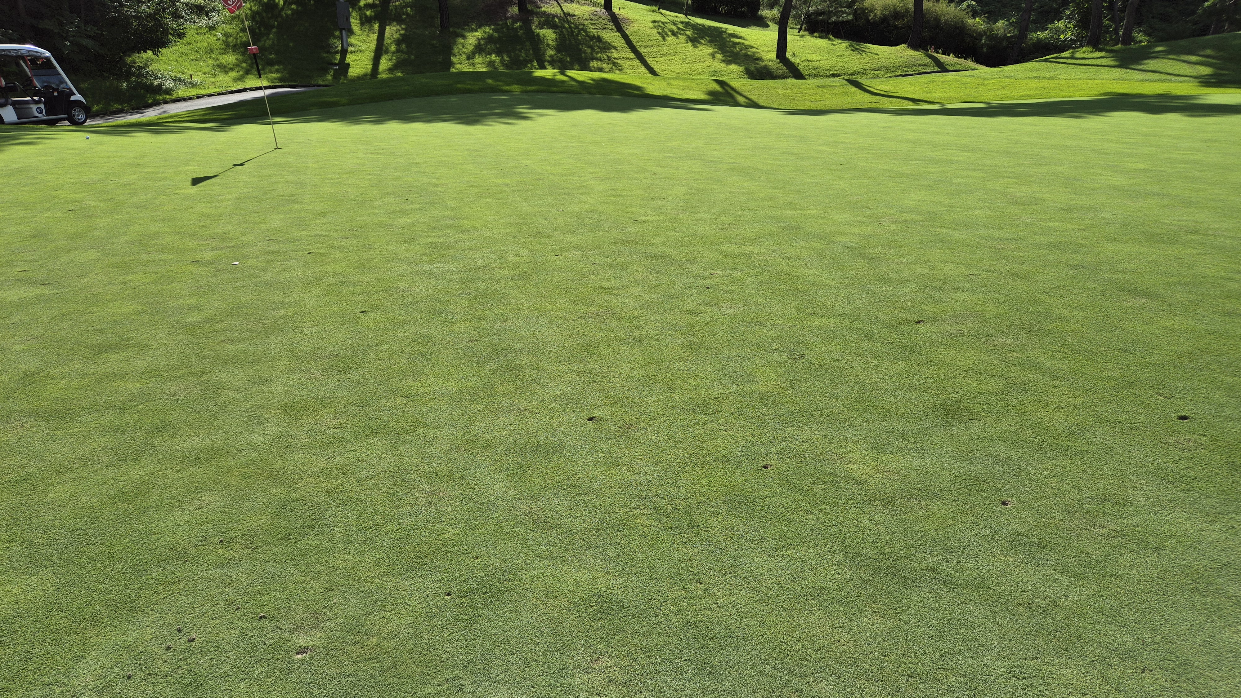 세일cc 들길-산길 코스 라운드 후기