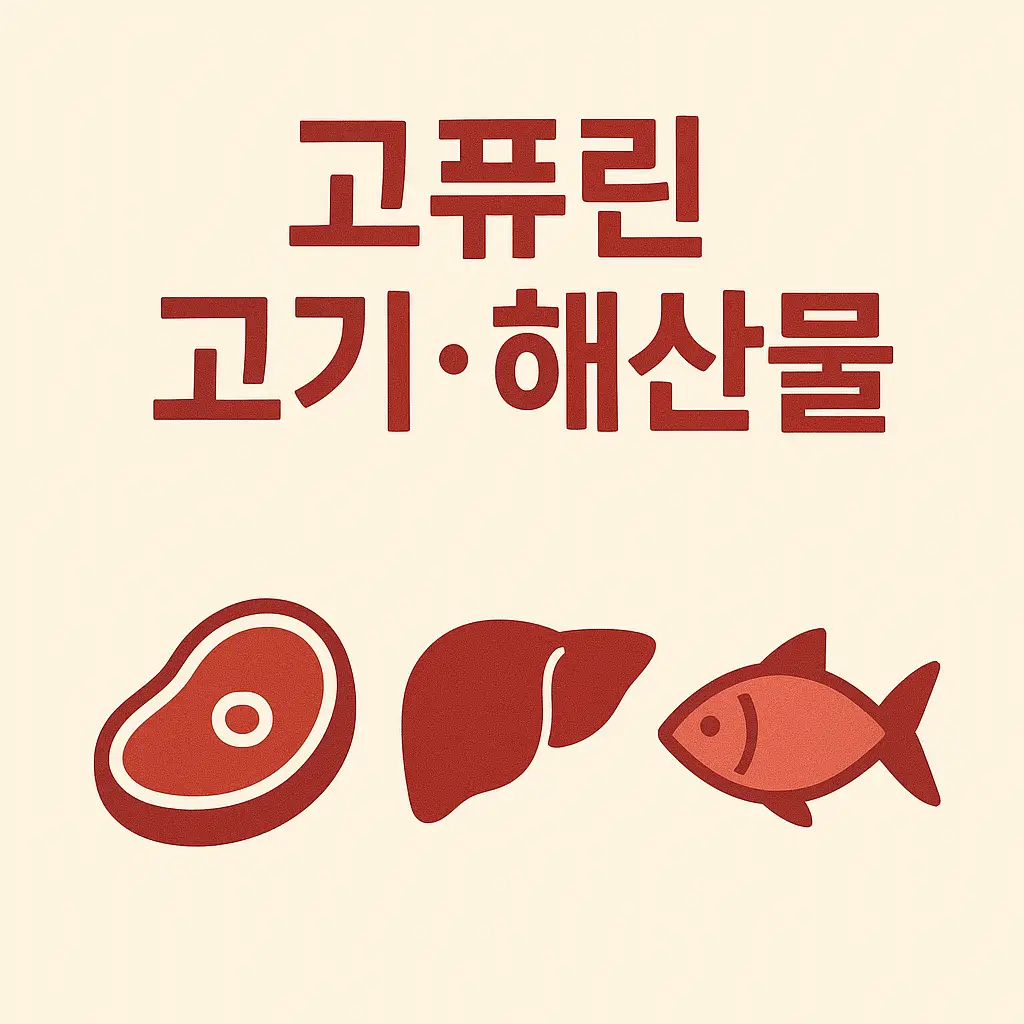 통풍에 해로운 음식 중 대표적으로 퓨린 함량이 높은 고기와 해산물은 요산 수치를 높여 증상을 악화시킬 수 있다는 설명 인포그래픽