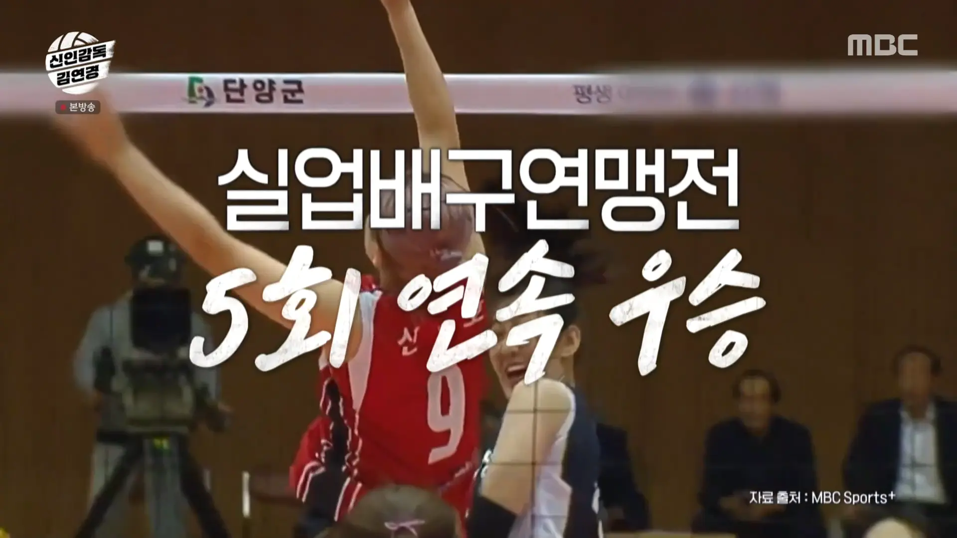 수원특례시청 배구팀 강점과 이력 - 실업배구연맹전 5회 연속 우승