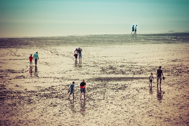 갯벌 체험을 하는 사람들 모습