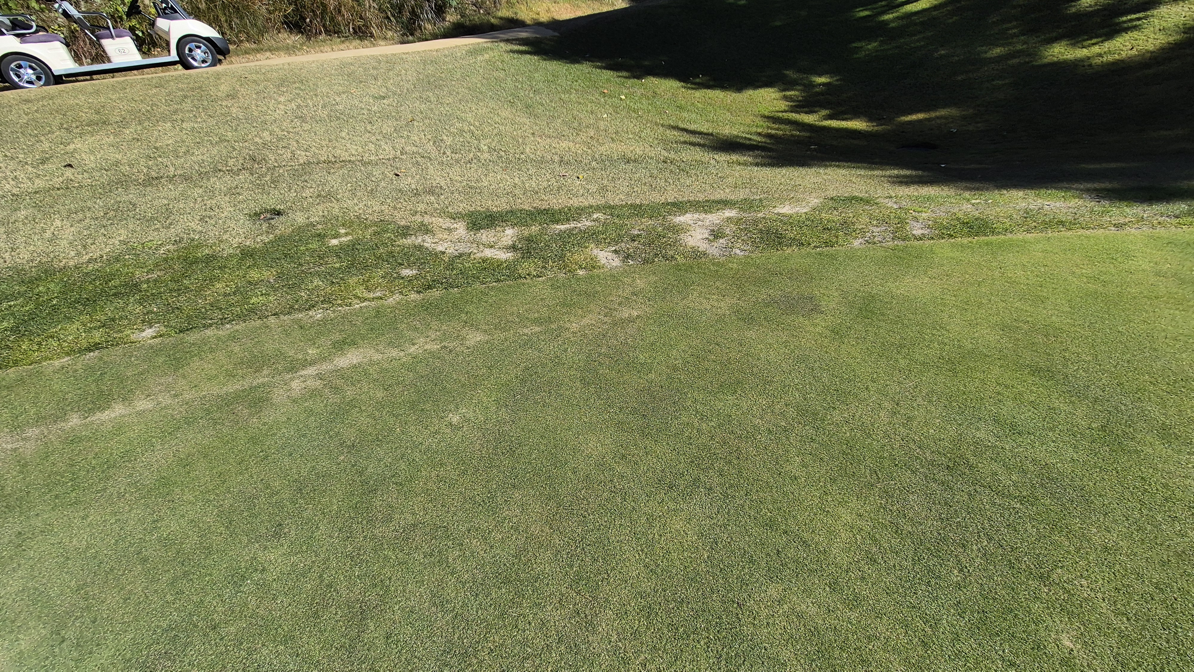 동촌gc 그린관리상태