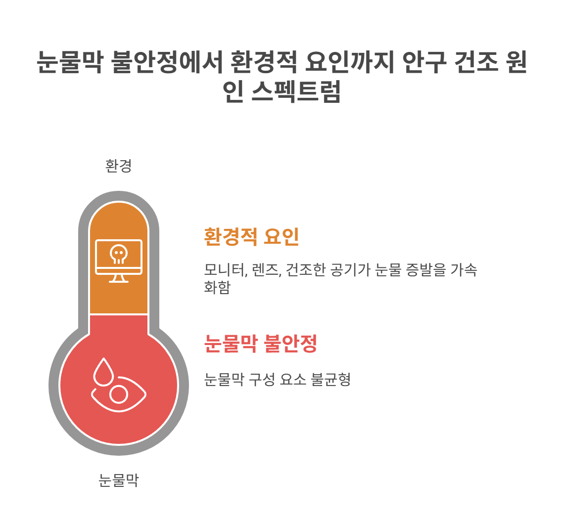 눈이 건조하고 따가운 이유는 뭘까?