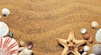 레드릭 프로필 나이