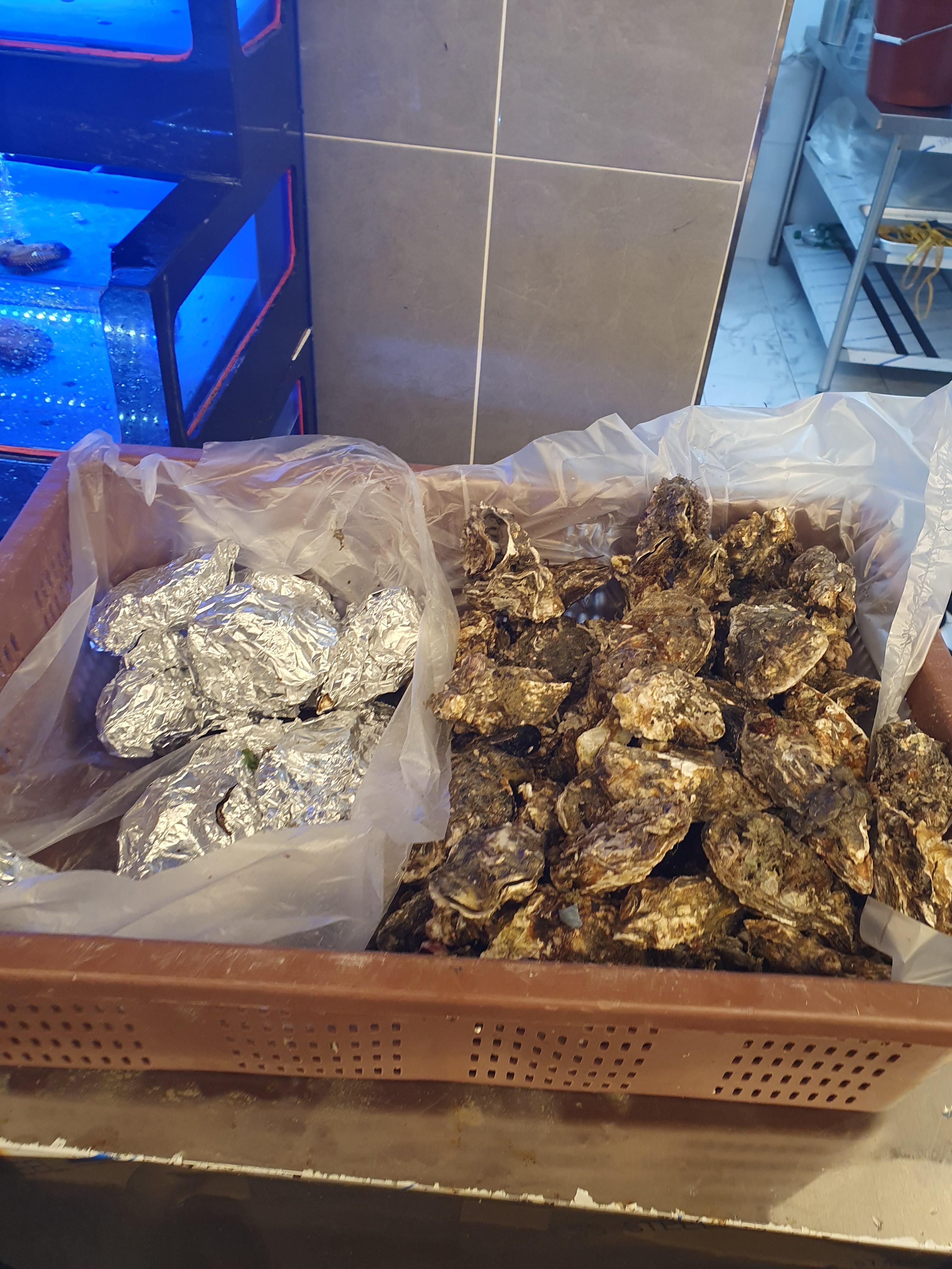 관저동 청춘 무한리필 조개구이 석화