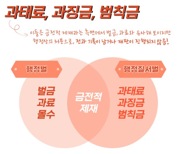 과태료, 과징금, 범칙금을 비교하는 다이어그램