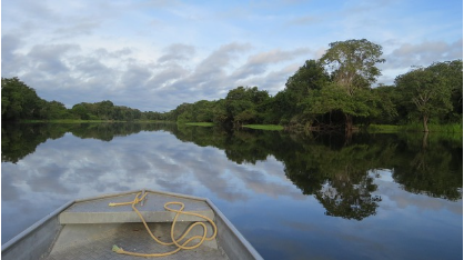 아마존 정글 속 잃어버린 도시의 비밀