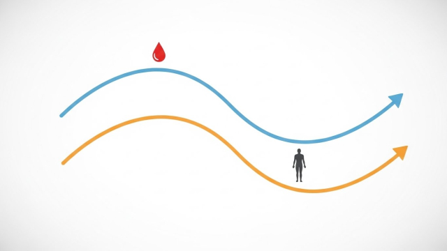 혈당 수치 상승과 체중 감소를 시간축 위에 표현한 그래프형 이미지