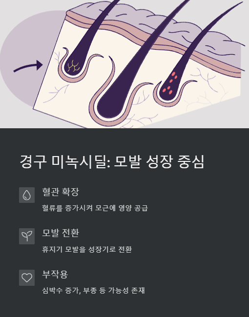 경구 미녹시딜 모방 성장 중심