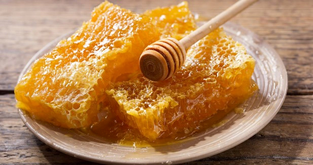 프로폴리스이란?