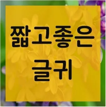 좋은 짧은 글귀 가슴을 울리는 짧은 감동 글귀 추천 모음집_10