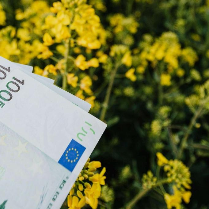 2025 청년 월세 지원 후기 &ndash; 실제 얼마 받았는지 알려드립니다