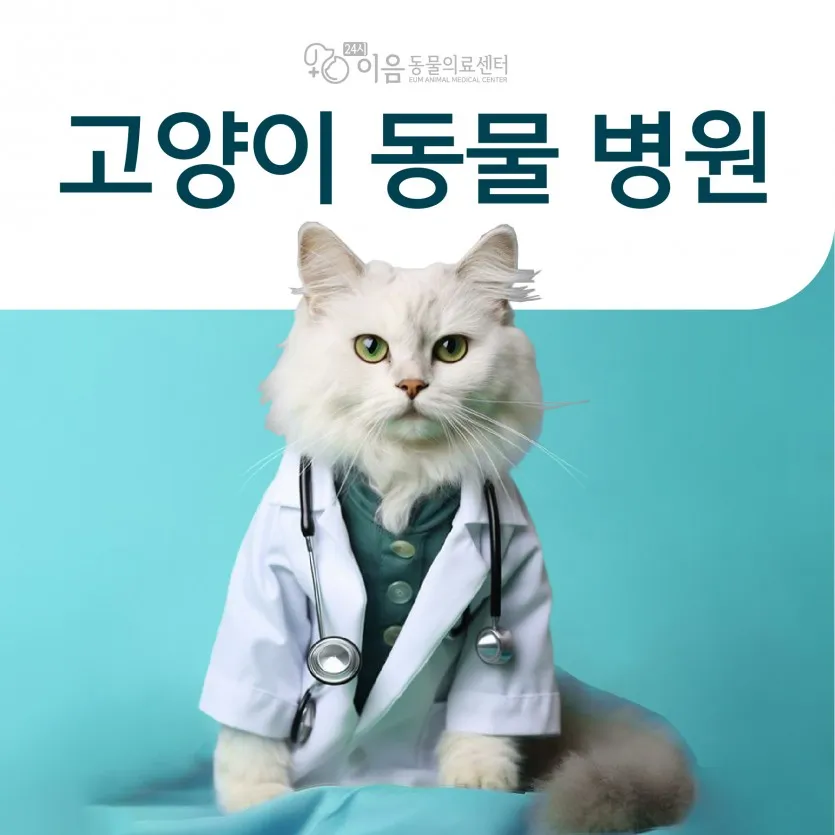 &amp;quot;고양이