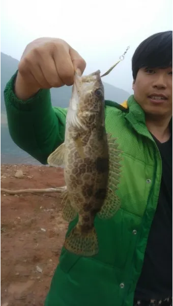 5월 쏘가리 금어기 시작 전국 금지 기간 완벽 정리와 낚시 규정_3