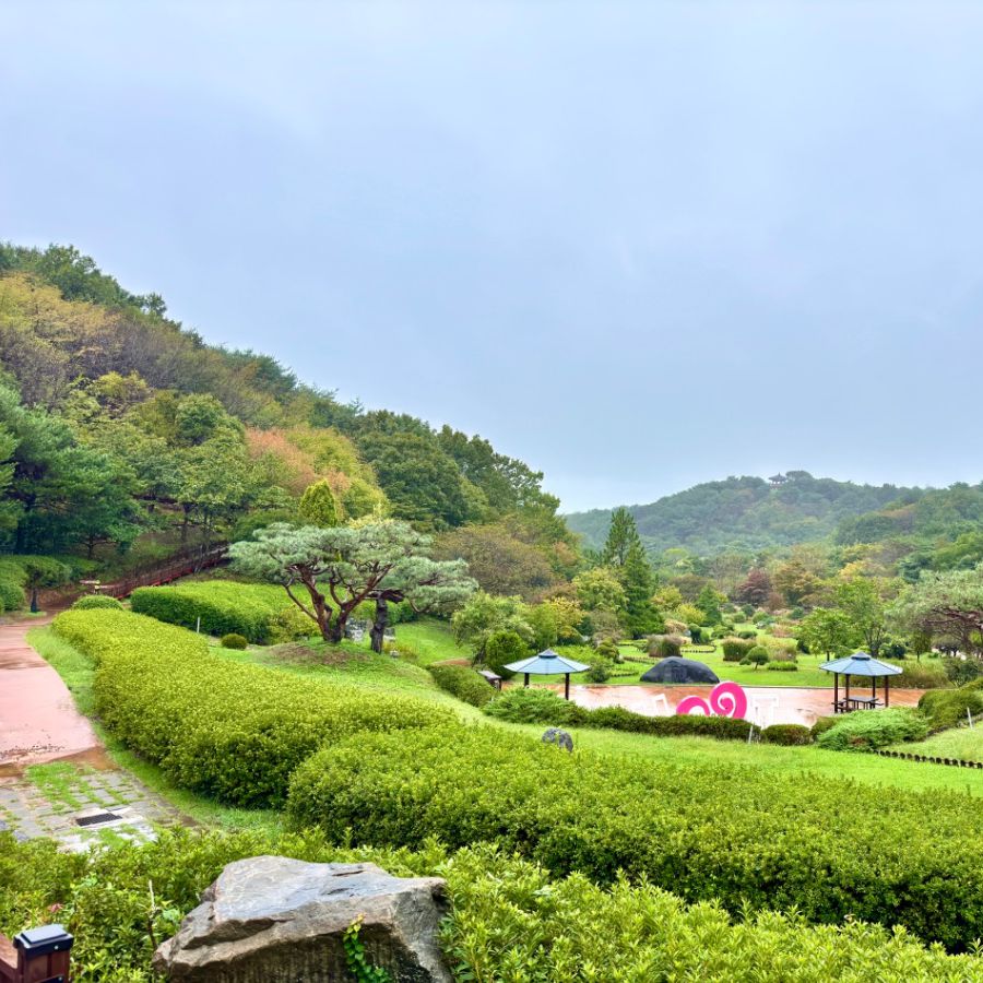 꽃지해수욕장 & 안면도자연휴양림