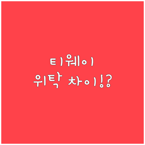 티웨이항공 국제선과 국내선 위탁수하물..