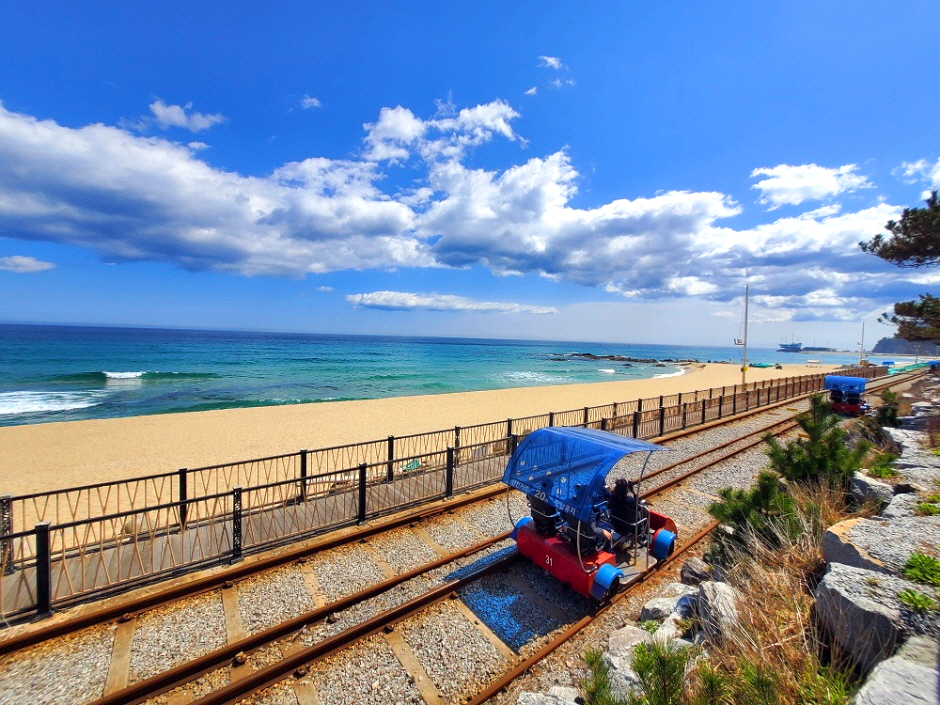 바다 옆으로 레일 바이크가 지나가고 있다.
