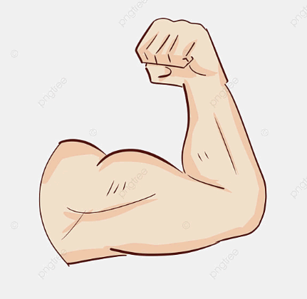 근육 생성 원리