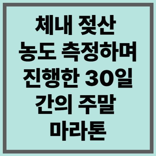 체내 젖산 농도 측정하며 진행한 30일간의 주말 마라톤