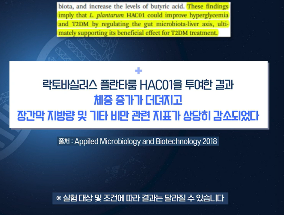 혈당 유산균