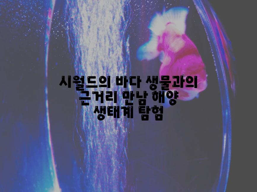 시월드의 바다 생물과의 근거리 만남 해양 생태계 탐험