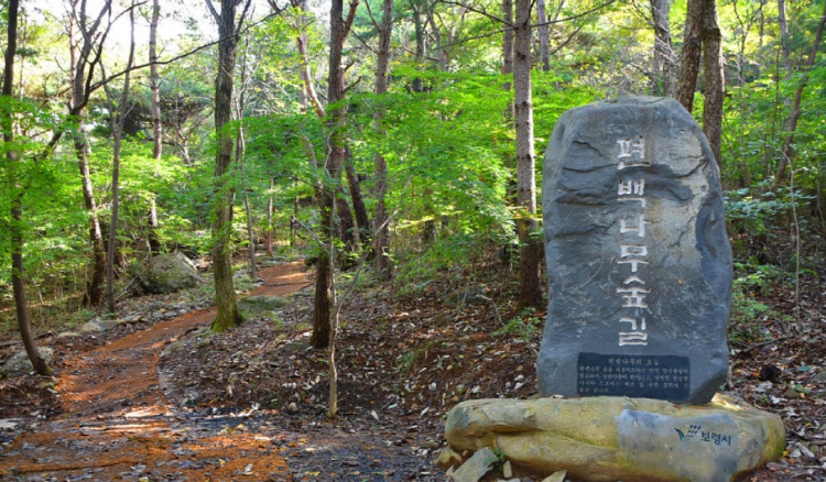 성주산 자연휴양림