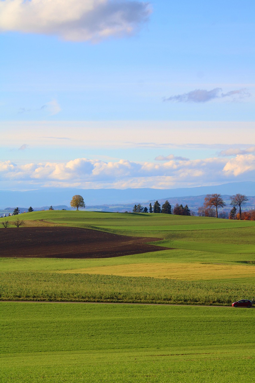 개인 재정 관리의 중요성: 어떻게 시작할까?