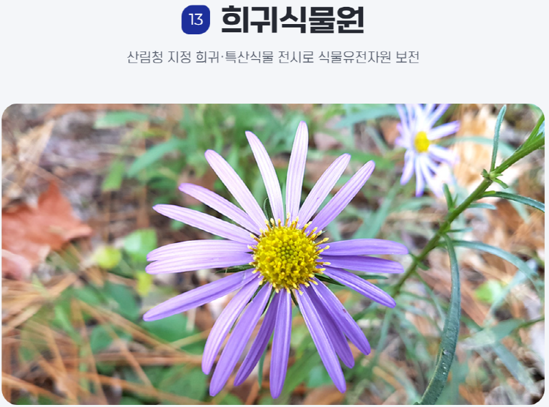 물맑음 수목원