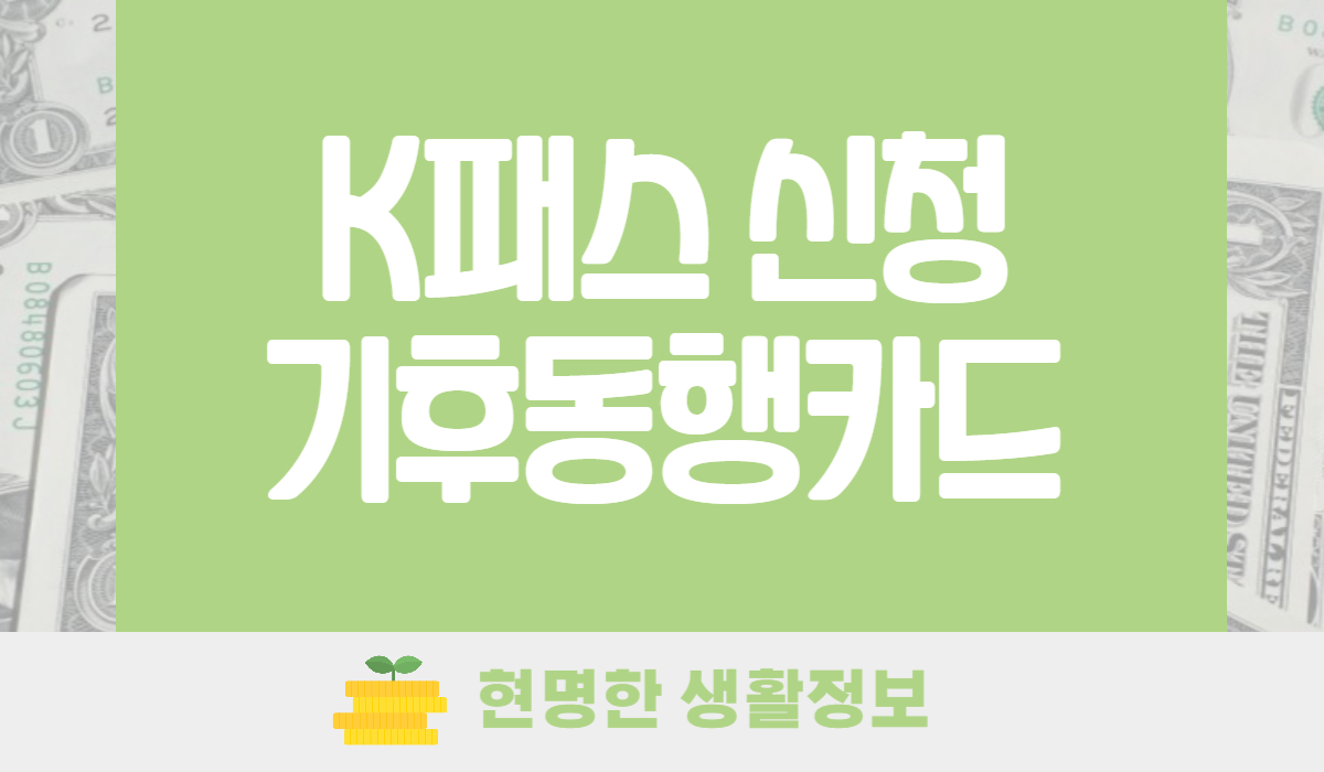 K패스 교통카드