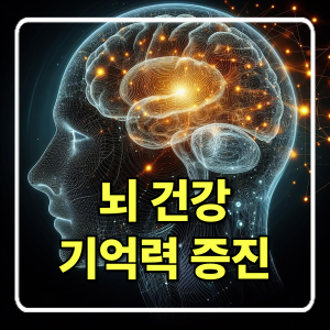 뇌 건강과 기억력 증진을 위한 생활 습관