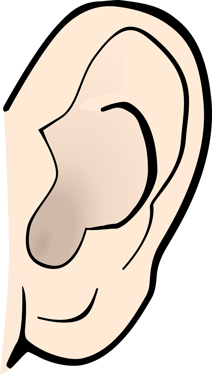 이명에 좋은 음식 꼭 드세요